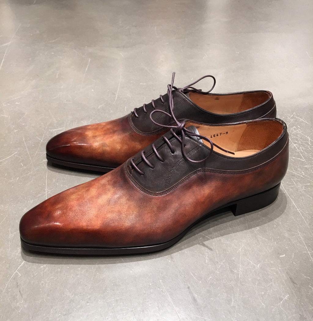 5 Maroon clouded Plastron dark